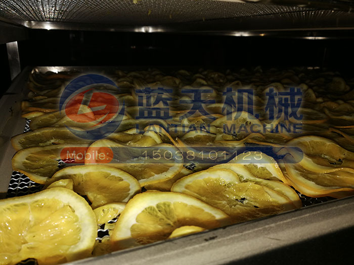 廣西水果烘干機(jī)