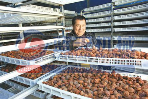 新疆杏干烘干機用戶現場