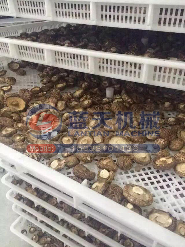 湖北香菇烘干機(jī)用戶現(xiàn)場