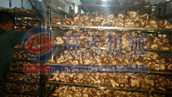 湖北香菇烘干機(jī)用戶現(xiàn)場