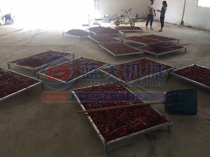 大型食品烘干機試機現(xiàn)場