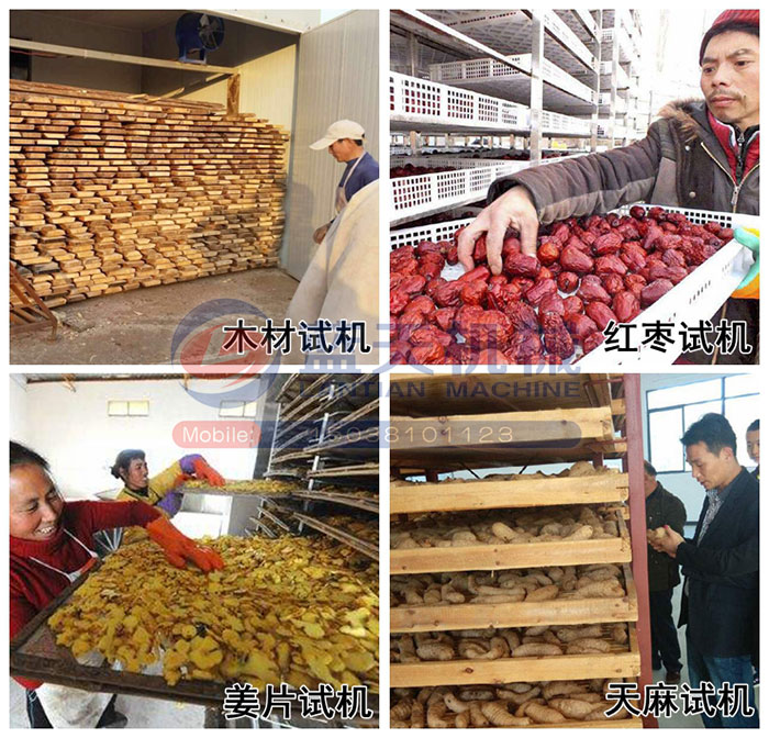 木材烘干房試機(jī)現(xiàn)場