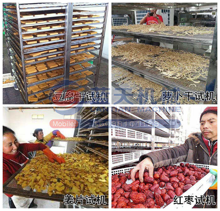 豆腐干烘干機試機現(xiàn)場